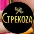 СтрекоZа