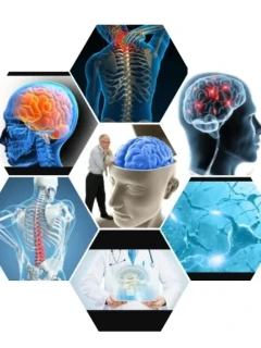 Прием врача-невролога