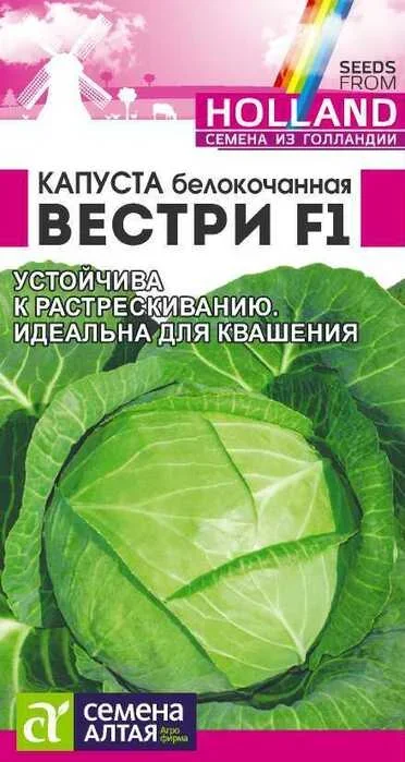 kapusta_vestri_f1_belokochannaya_15_sht