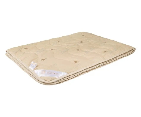 falilybnu6bl8md9btmk12nitm6bf2d6