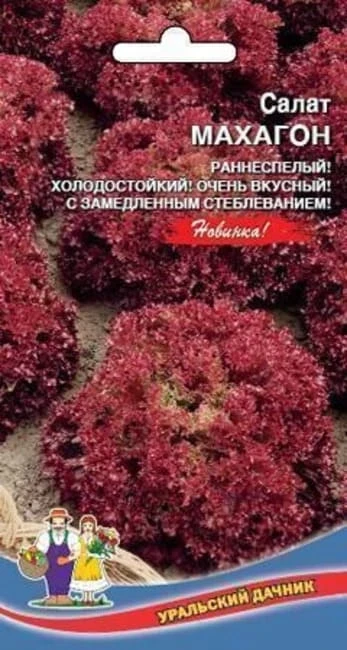 Фото для Салат Махагон 0,25 г Уральский дачник