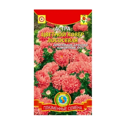 Фото для Астра Цветочный Ковер Лососевая