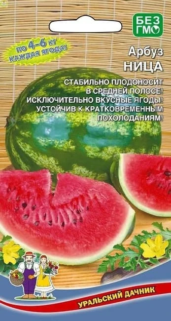 arbuz_nitsa_10sht