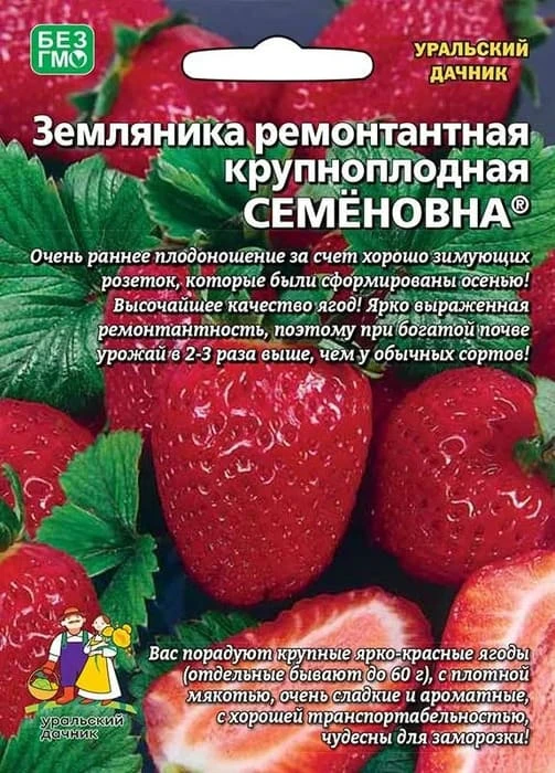 zemlyanika_semenovna_remontantnaya_10_sht_krupnoplodnaya