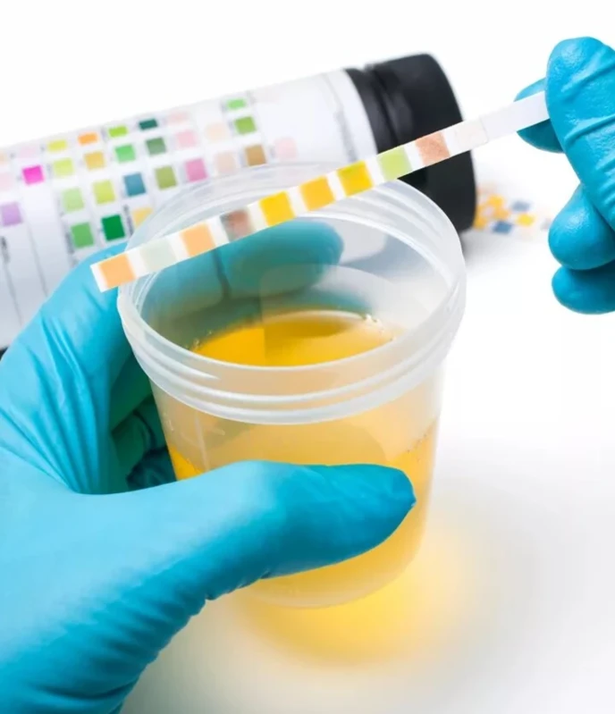 Клинический анализ мочи животных