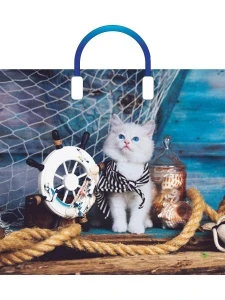 Фото для ПАКЕТ ПОДАРОЧНЫЙ 38*34СМ ПЛАСТИКОВАЯ РУЧКА "МАТРОСКИН"