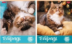 Фото для ТЕТРАДЬ 60Л КЛЕТКА "КОТ БОРИС"