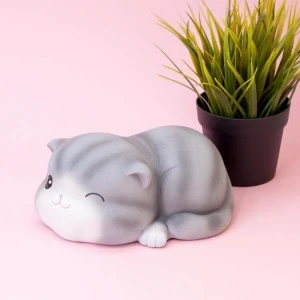 rwhzdroc5fhgp0sfwy9ry1iqr6cs4wbf