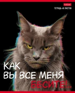 Фото для ТЕТРАДЬ 48Л КЛЕТКА "КАК ВЫ ВСЕ МЕНЯ БЕСИТЕ"