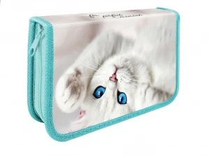 Фото для ПЕНАЛ Б/Н КАРКАСНЫЙ 2С СРЕДНИЙ ПЧЁЛКА ЛАМ КАРТОН ДЛЯ ДЕВОЧЕК 1-ОТД 19*11,5*3СМ 1 МОЛНИЯ АССОРТИ (ГОЛУБОГЛАЗАЯ КОШЕЧКА 2022)