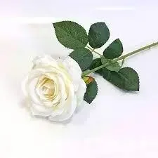 Роза белая 60 см