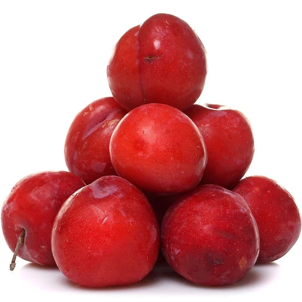 99qtu7qib0j1a5naiw42sppbp2iiuwr5