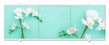 8c1e9d01cf0c11eb812bd8cb8a99feb6_0990532246b011eca5bc244bfeca6e0a