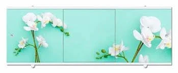 8c1e9d01cf0c11eb812bd8cb8a99feb6_0990532246b011eca5bc244bfeca6e0a