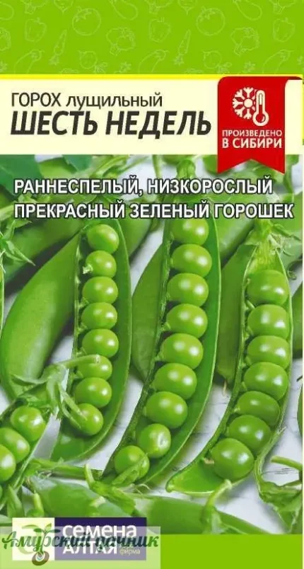 Фото для ЦВП Горох Шесть Недель 10 г."СА"