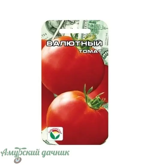 qkxv0t6l550jhf5rqutonuau04vebx2e