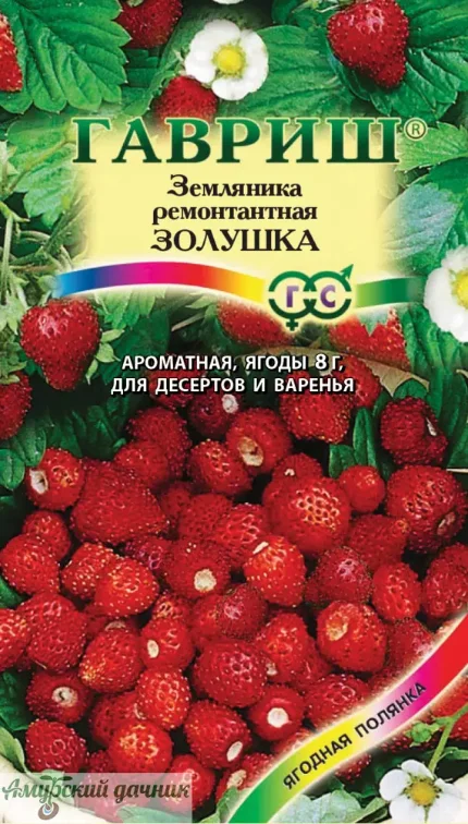 Фото для ЦВП Земл-клуб. Золушка 0,03г.УДС"Г"/20