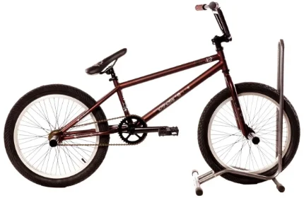Фото для Велосипед VIVA x3 RA-25-142 BMX (коричневый)