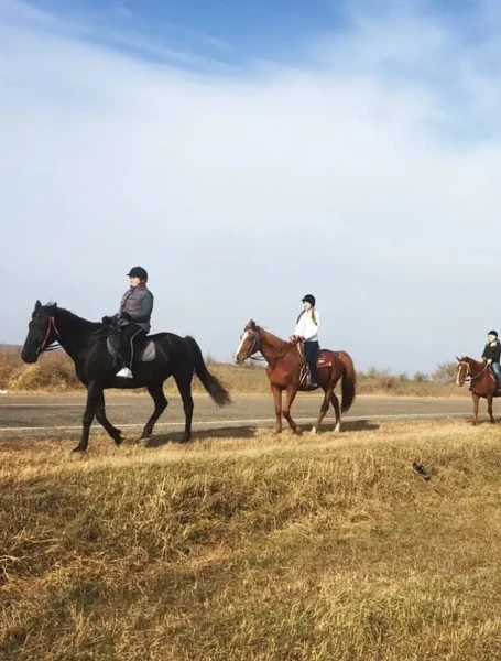 Прогулка на лошадях