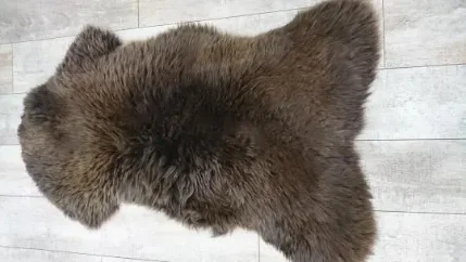 Шкура овцы мериноса коричневая (медведь) 125*80 см