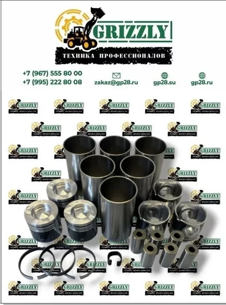 Фото для Поршневая группа WEICHAI WD10 61500010344,612600030015