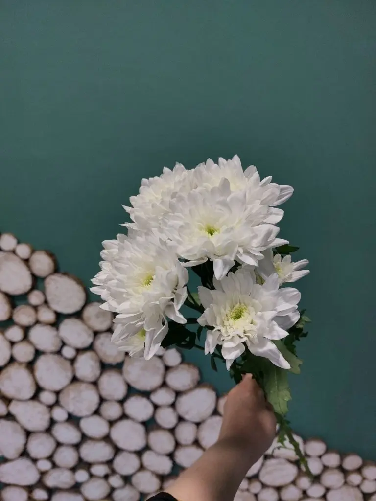 Хризантема кустовая белая 1 шт