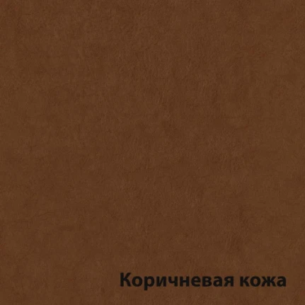 korichnevyy