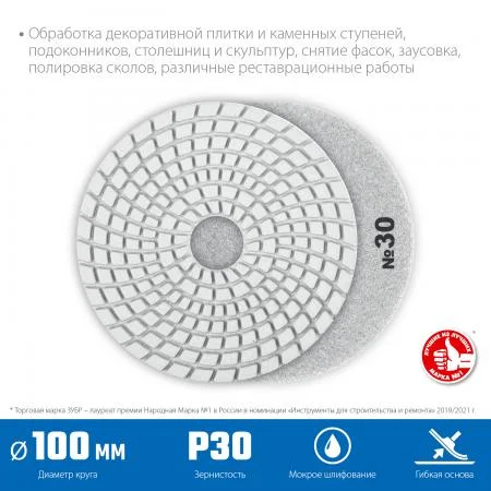 ЗУБР 100 мм, №30, мокрое шлифование, алмазный гибкий шлифовальный круг АГШК, Профессионал (29866-030)