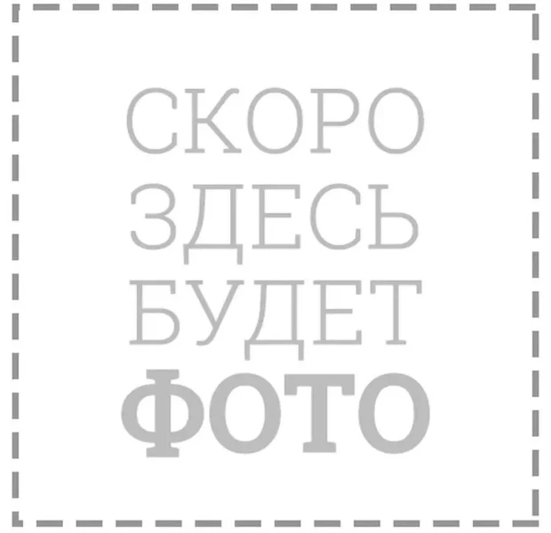 24951-1