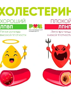 Фото для Анализ крови на холестерин ЛПВП и холестерин ЛПНП