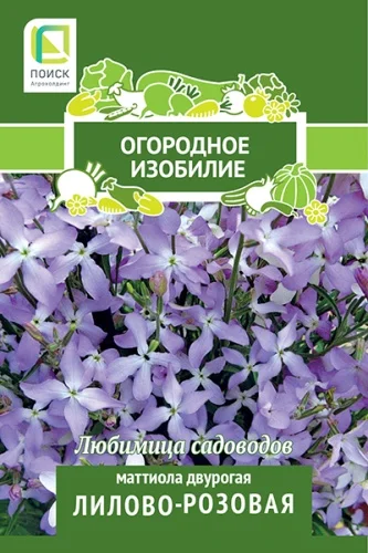 Маттиола двурогая Лилово-розовая (Огородное изобилие) ("1) 0,3гр