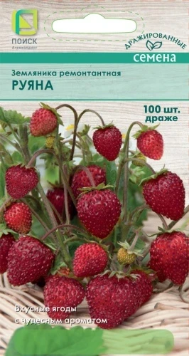 Фото для Земляника ремонтантная (Драже) Руяна (ЦВО) 100шт