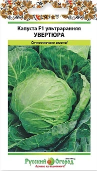 2e65c5fadb3d11ed8293d85ed377b6fa_34d08c8fbceb11ef8288d85ed377b6fa