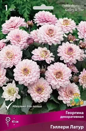 a6df7854ddc311ed8293d85ed377b6fa_5f64fcfe156711ee8296d85ed377b6fa