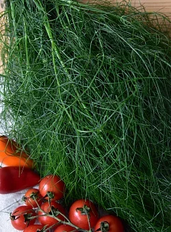 099a8bbc9a1f11ed827cd85ed377b6fa_a2c9591bd78011ee82e2d85ed377b6fa