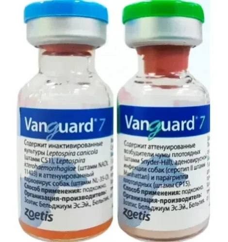 Вангард-7 1 доза