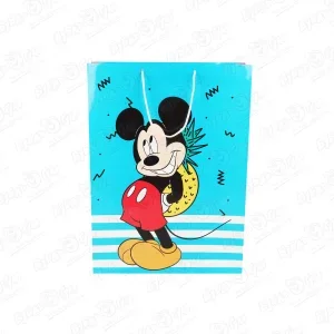 Фото для Пакет подарочный Mickey Mouse 33х46см