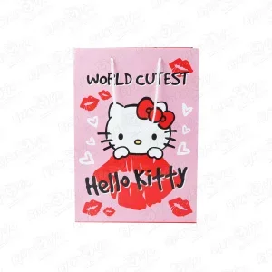 Фото для Пакет подарочный Hello Kitty розовый 22х31см