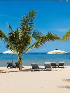 Вьетнам 2025. Фантьет из Благовещенска